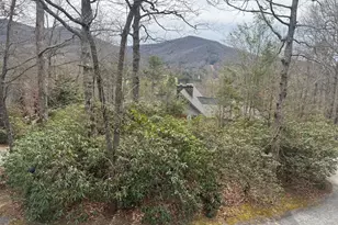 63 Mashie Ln, Sky Valley, GA 30537 - Photo 4