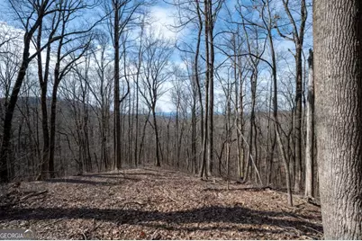 Lot 7R Mountain Falls Loop, Ellijay, GA 30540 - Photo 8