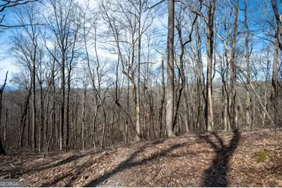 Lot 7R Mountain Falls Loop, Ellijay, GA 30540 - Photo 6