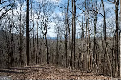 Lot 7R Mountain Falls Loop, Ellijay, GA 30540 - Photo 10