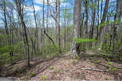 Lot 7R Mountain Falls Loop, Ellijay, GA 30540 - Photo 12