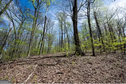 Lot 7R Mountain Falls Loop, Ellijay, GA 30540 - Photo 14