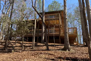 114 Palisade Dr, Ellijay, GA 30540 - Photo 6