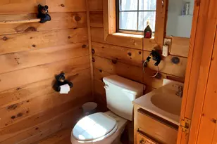 114 Palisade Dr, Ellijay, GA 30540 - Photo 34