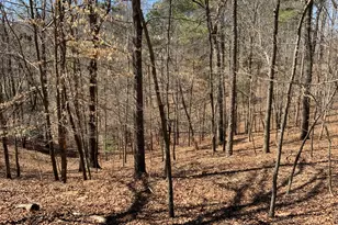 114 Palisade Dr, Ellijay, GA 30540 - Photo 14