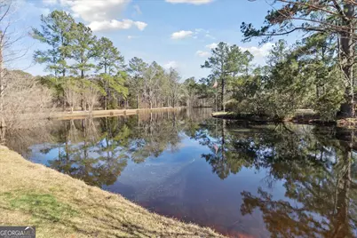 113 Flamingo Lane, Statesboro, GA 30461 - Photo 56