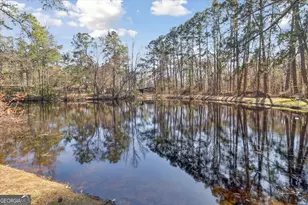 113 Flamingo Ln, Statesboro, GA 30461 - Photo 58