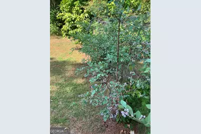 113 Flamingo Lane, Statesboro, GA 30461 - Photo 74