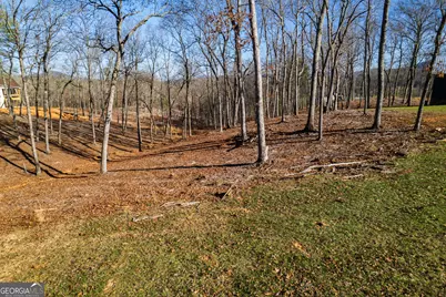 171 Split Creek Court, Morganton, GA 30560 - Photo 6