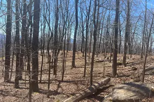 58 Mountainside Dr, Cleveland, GA 30528 - Photo 1