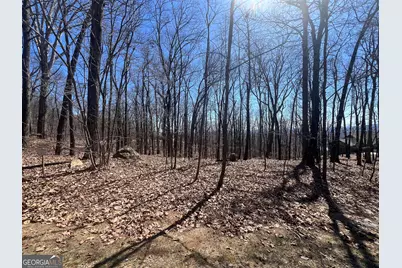 58 Mountainside Drive, Cleveland, GA 30528 - Photo 4