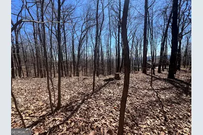 58 Mountainside Drive, Cleveland, GA 30528 - Photo 8