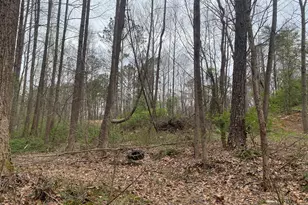 247 Tatum Rd, Talking Rock, GA 30175 - Photo 24