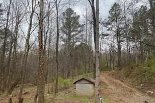 247 Tatum Rd, Talking Rock, GA 30175 - Photo 4