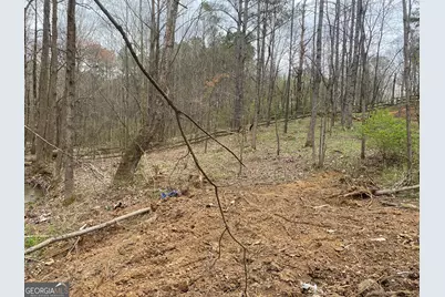 247 Tatum Road, Talking Rock, GA 30175 - Photo 6