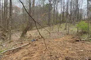 247 Tatum Rd, Talking Rock, GA 30175 - Photo 6