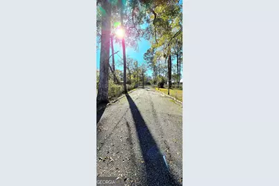 725 Blue Gill Road, Ellabell, GA 31308 - Photo 92