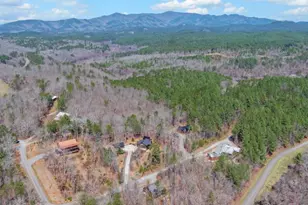 101 Hideaway Tr, Copperhill, TN 37317 - Photo 66