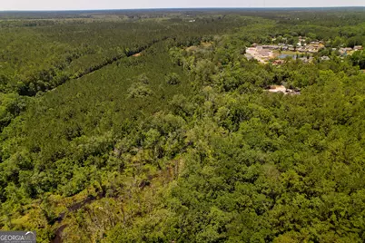 20 Acres Kingsland, West Of Hwy 17, Kingsland, GA 31548 - Photo 12