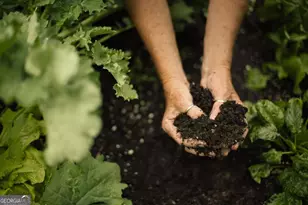 1491 Lake Dr, Greensboro, GA 30642 - Photo 24