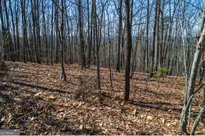 Lot 35 Heatherwood Way, Talking Rock, GA 30175 - Photo 18