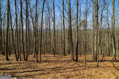 Lot 35 Heatherwood Way, Talking Rock, GA 30175 - Photo 1