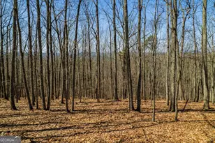 Lot 35 Heatherwood Way, Talking Rock, GA 30175 - Photo 1
