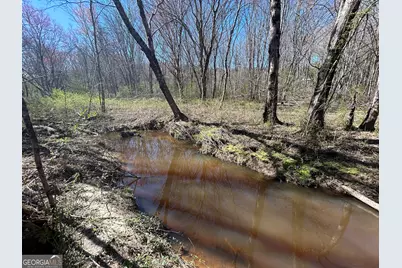 150 Charles Painter Road, Villa Rica, GA 30180 - Photo 38