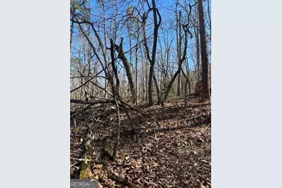 125 Gum Wood Court, Waleska, GA 30183 - Photo 2