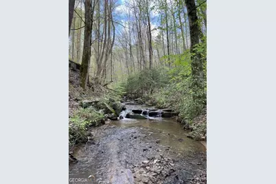0 Shady Grove Road, Talking Rock, GA 30175 - Photo 2