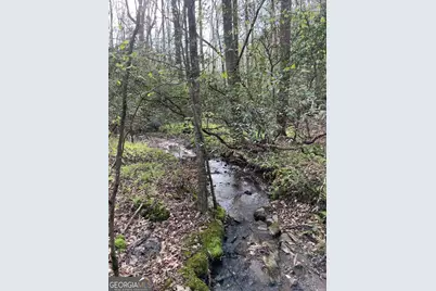 0 Shady Grove Road, Talking Rock, GA 30175 - Photo 8