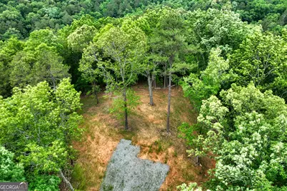 0 Shady Grove Road, Talking Rock, GA 30175 - Photo 6