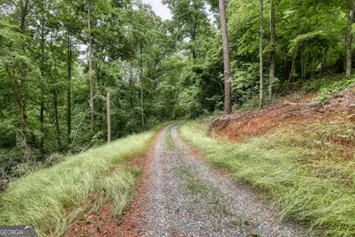 0 Shady Grove Road, Talking Rock, GA 30175 - Photo 4