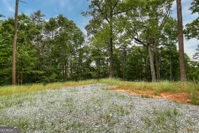 0 Shady Grove Road, Talking Rock, GA 30175 - Photo 10