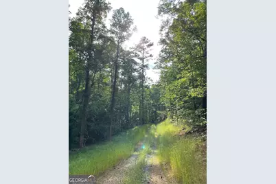 0 Shady Grove Road, Talking Rock, GA 30175 - Photo 20