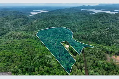 0 Shady Grove Road, Talking Rock, GA 30175 - Photo 16