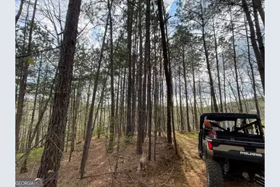 0 Shady Grove Road, Talking Rock, GA 30175 - Photo 22