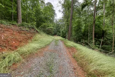 0 Shady Grove Road, Talking Rock, GA 30175 - Photo 12