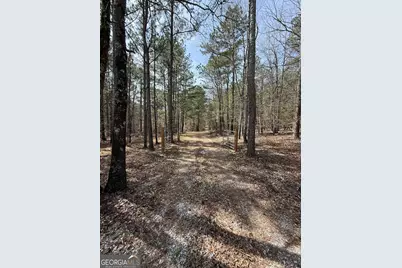 0 Sugar Creek Trail, Buckhead, GA 30625 - Photo 8