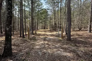 0 Sugar Creek Trail, Buckhead, GA 30625 - Photo 8