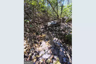 0 Ivy Ridge Way #LOT 50, Clarkesville, GA 30523 - Photo 8