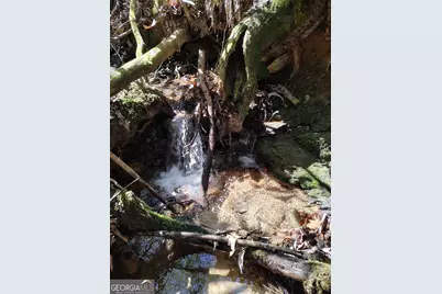 0 Ivy Ridge Way #LOT 50, Clarkesville, GA 30523 - Photo 10