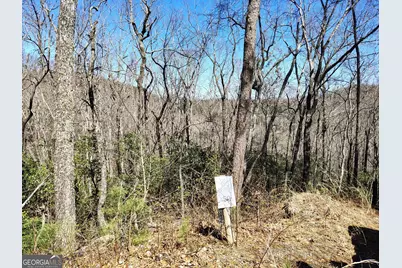 0 Ivy Ridge Way #LOT 50, Clarkesville, GA 30523 - Photo 16