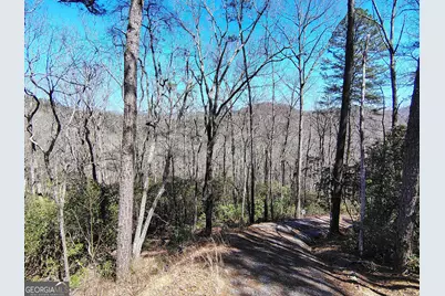 0 Ivy Ridge Way #LOT 50, Clarkesville, GA 30523 - Photo 24