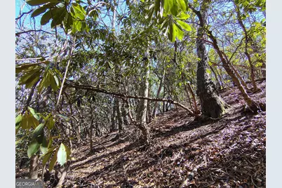 0 Ivy Ridge Way #LOT 50, Clarkesville, GA 30523 - Photo 18