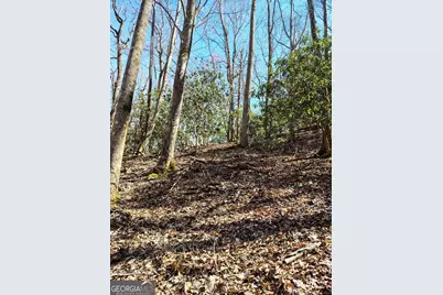 0 Ivy Ridge Way #LOT 6, Clarkesville, GA 30523 - Photo 14