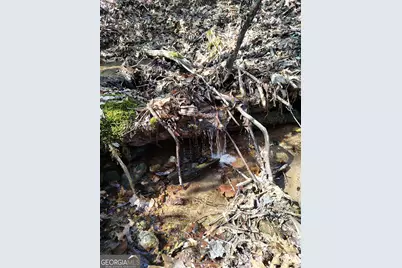 0 Ivy Ridge Way #LOT 6, Clarkesville, GA 30523 - Photo 12