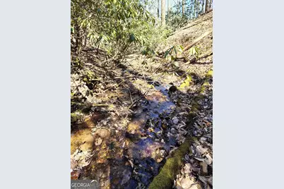 0 Ivy Ridge Way #LOT 6, Clarkesville, GA 30523 - Photo 8