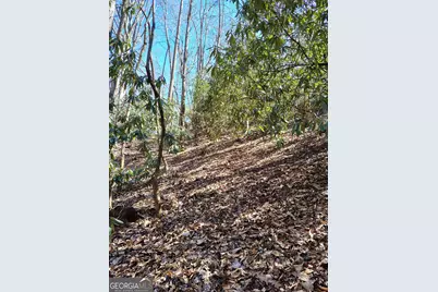 0 Ivy Ridge Way #LOT 6, Clarkesville, GA 30523 - Photo 6