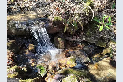 0 Ivy Ridge Way #LOT 6, Clarkesville, GA 30523 - Photo 10